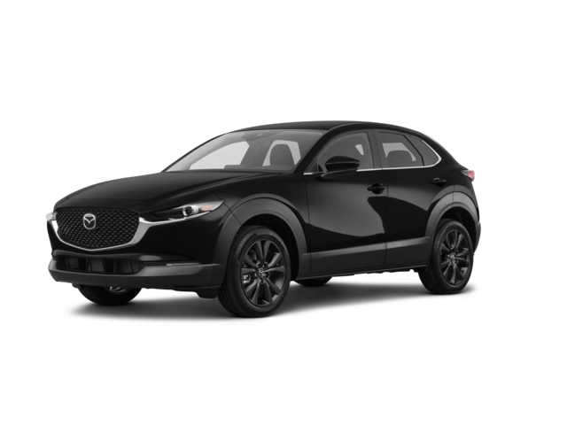 Hi-Story MAZDA CX-30 ジェットブラックマイカ MAZDA CX-30 (2019) Machine Gray Premium Metallic (Diecast